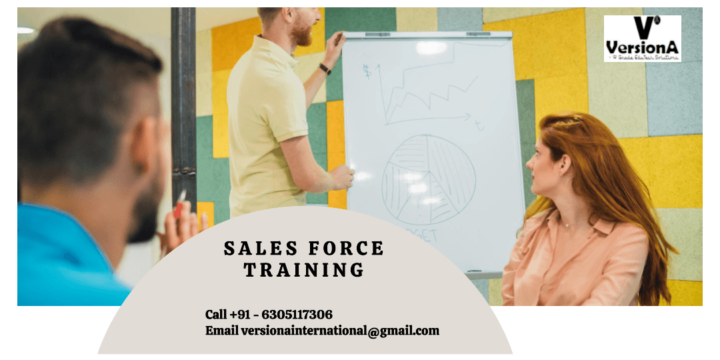 Sales Force Training