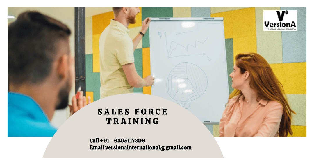 Sales Force Training